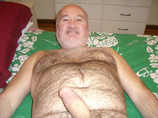 Featured bear