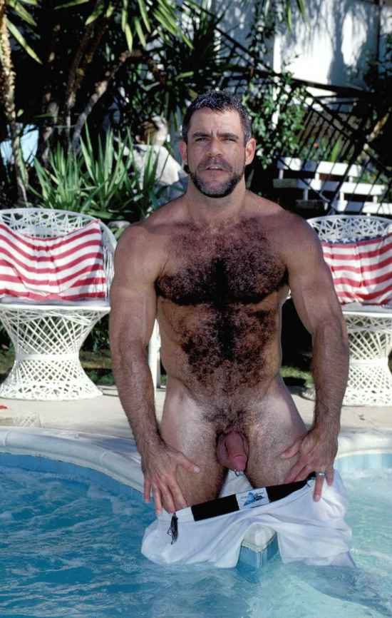 Featured bear