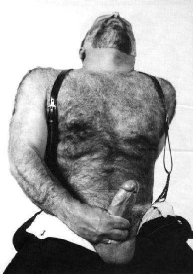 Featured bear